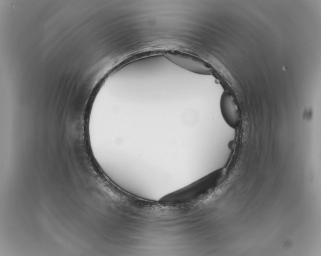 X0000091290834200709071031