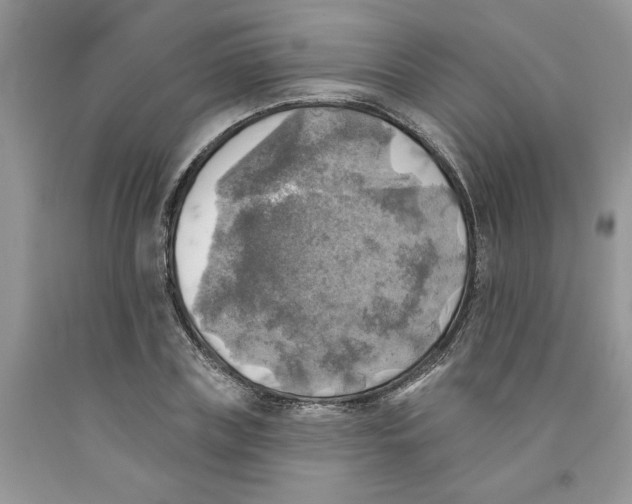 X0000091290835200709071031