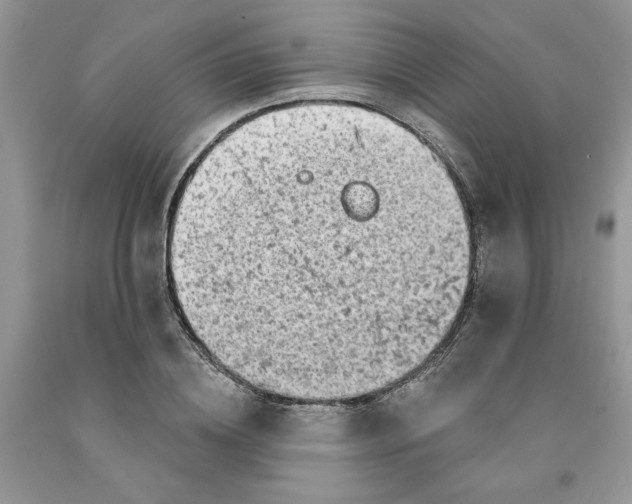 X0000091290836200709071031