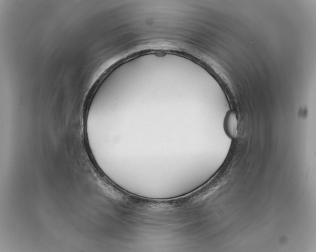 X0000091290837200709071031