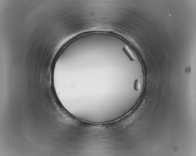 X0000091290838200709071031