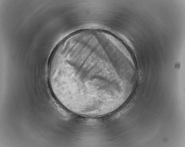 X0000091290839200709071031