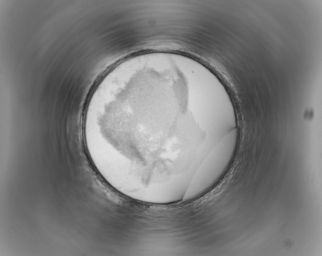 X0000091290840200709071031