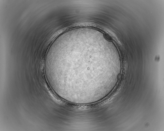 X0000091290841200709071031