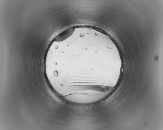 X0000091290842200709071031