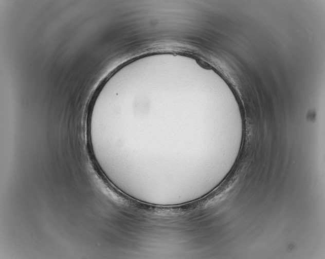 X0000091290843200709071031