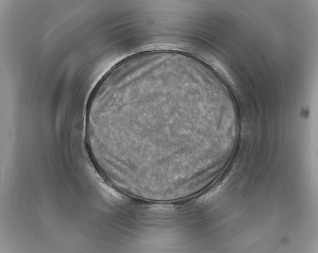 X0000091290844200709071031