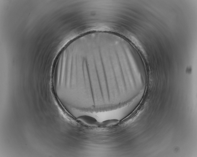 X0000091290845200709071031