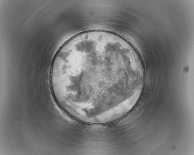 X0000091290847200709071031