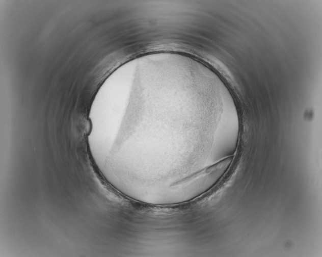 X0000091290849200709071031