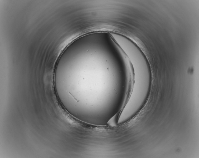 X0000091290850200709071031