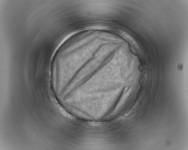 X0000091290852200709071031