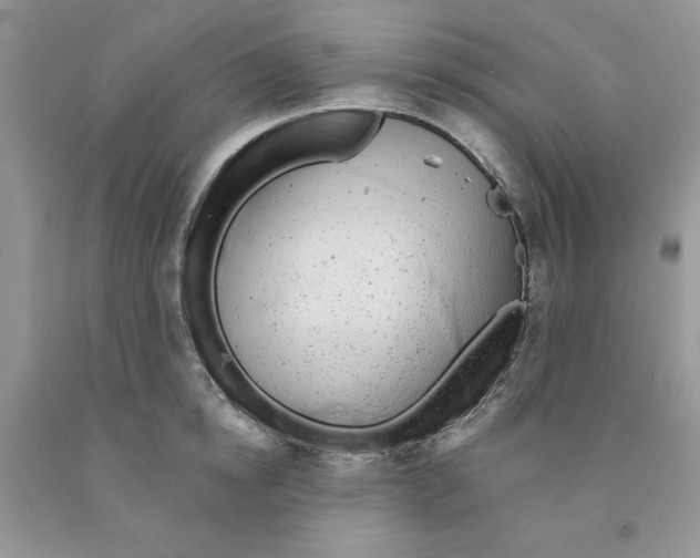 X0000091290854200709071031