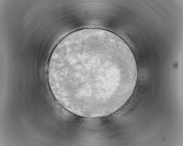 X0000091290856200709071031