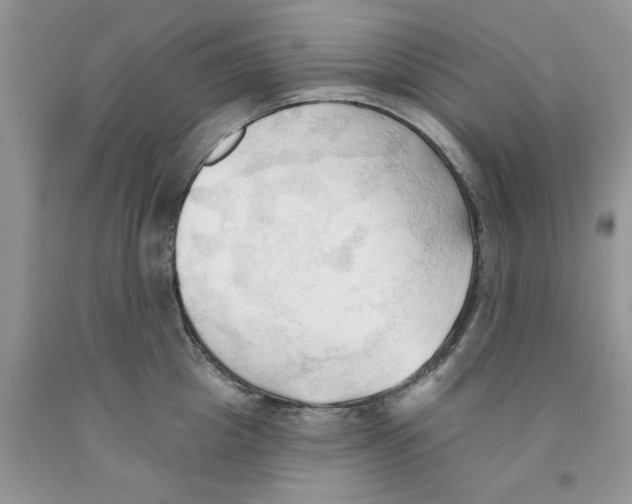 X0000091290857200709071031