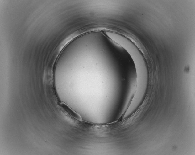 X0000091290858200709071031