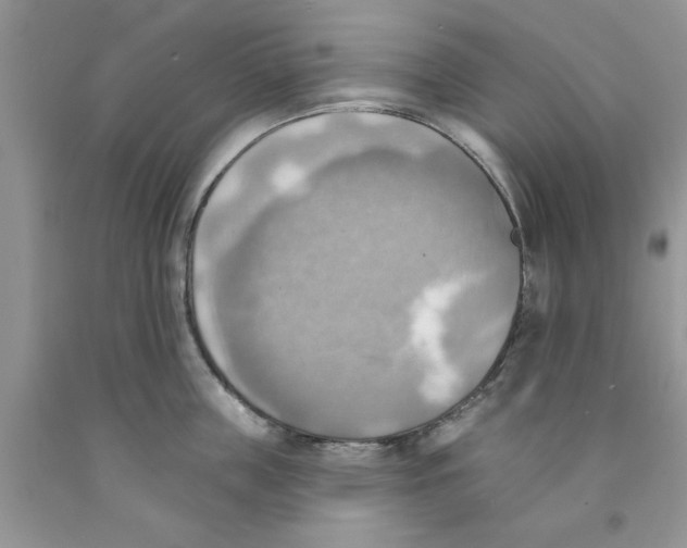 X0000091290859200709071031