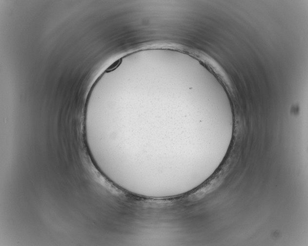 X0000091290860200709071031