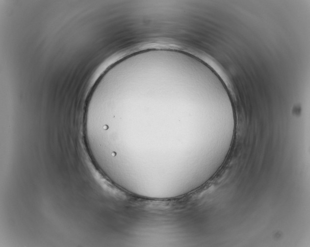 X0000091290861200709071031