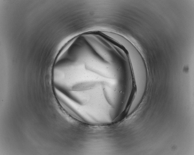 X0000091290862200709071031