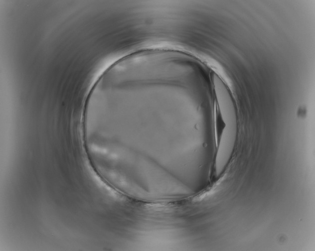 X0000091290863200709071031