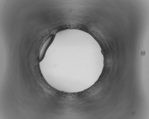 X0000091290865200709071030