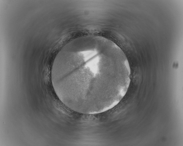 X0000091290866200709071030