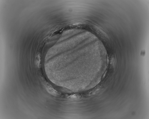 X0000091290868200709071030