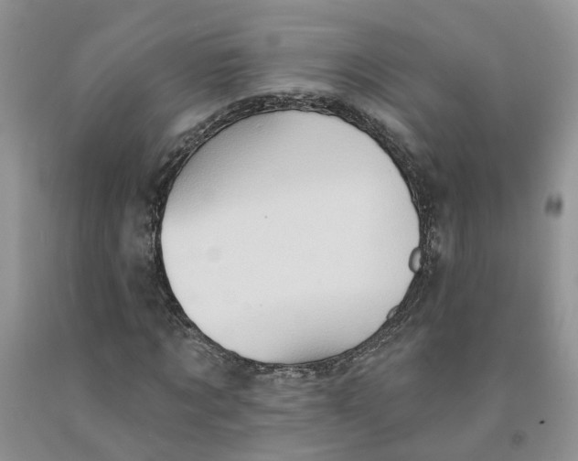 X0000091290869200709071030