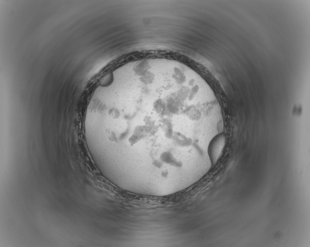 X0000091290871200709071030