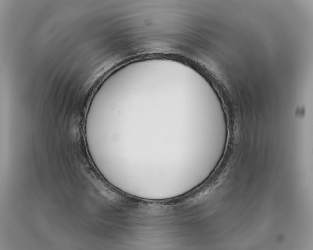 X0000091290873200709071030