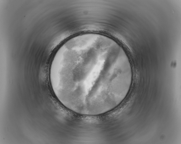 X0000091290874200709071030