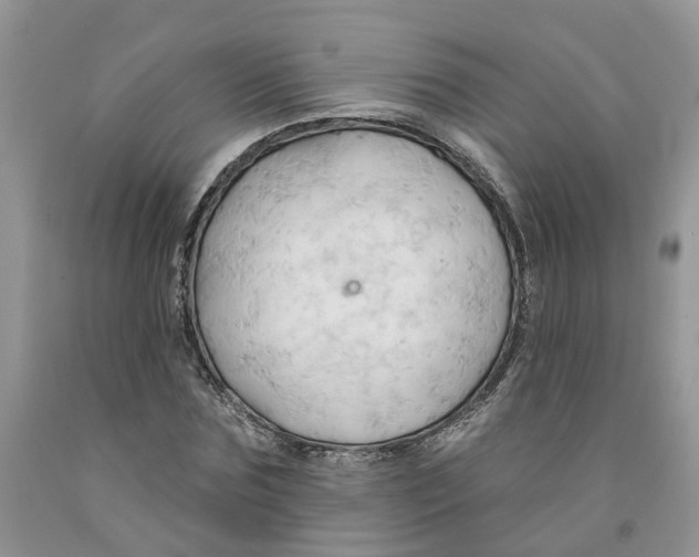 X0000091290875200709071030