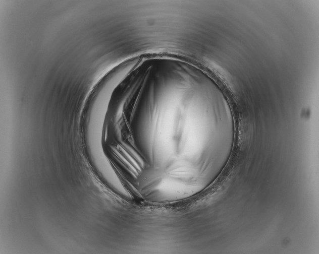 X0000091290876200709071030