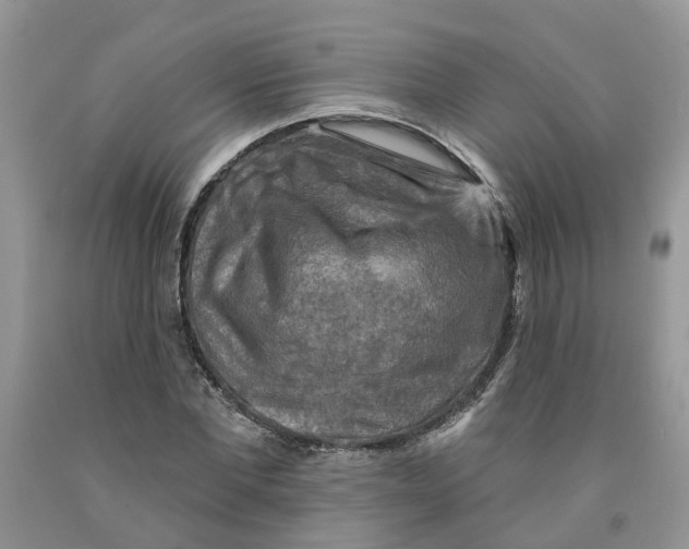 X0000091290877200709071030