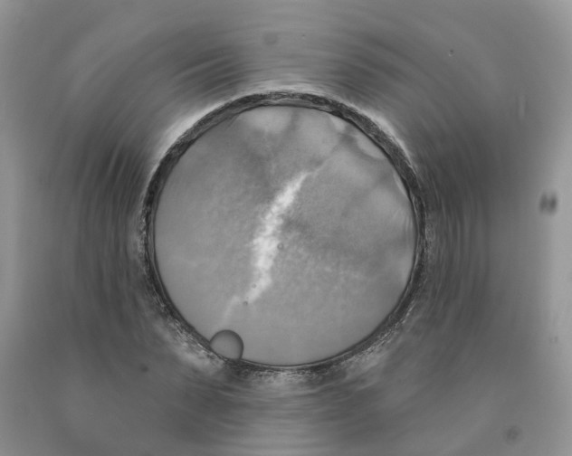 X0000091290879200709071030