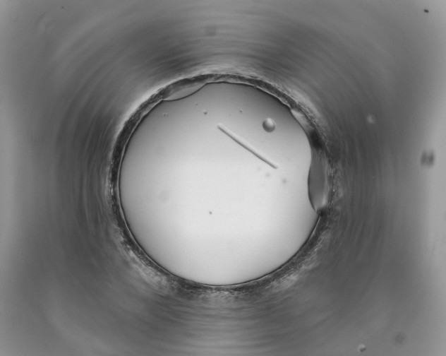 X0000091290880200709071030