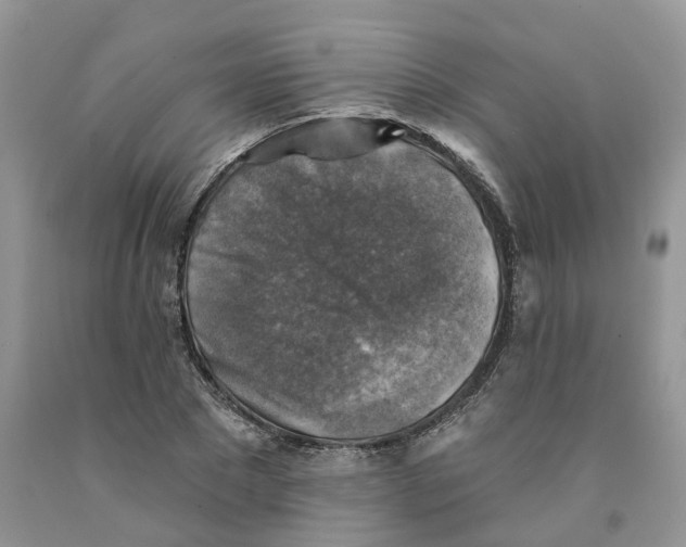 X0000091290881200709071030