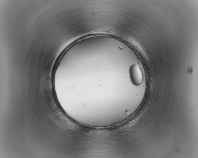 X0000091290884200709071030