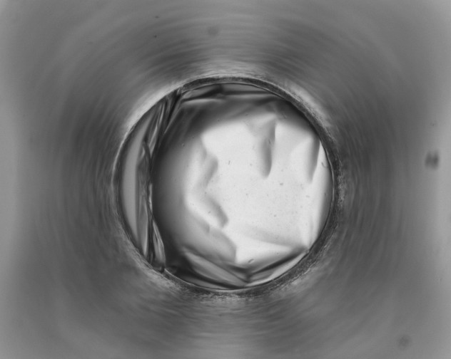 X0000091290885200709071030