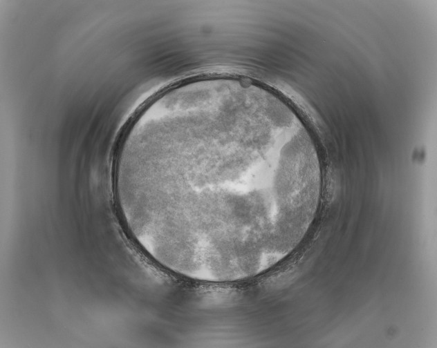 X0000091290886200709071030