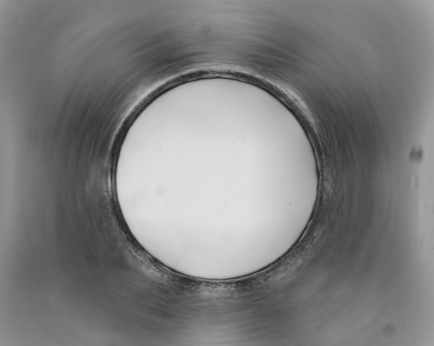 X0000091290887200709071030