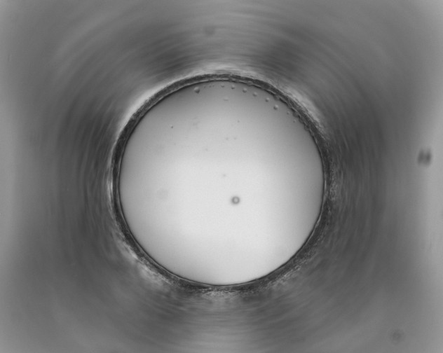 X0000091290888200709071030