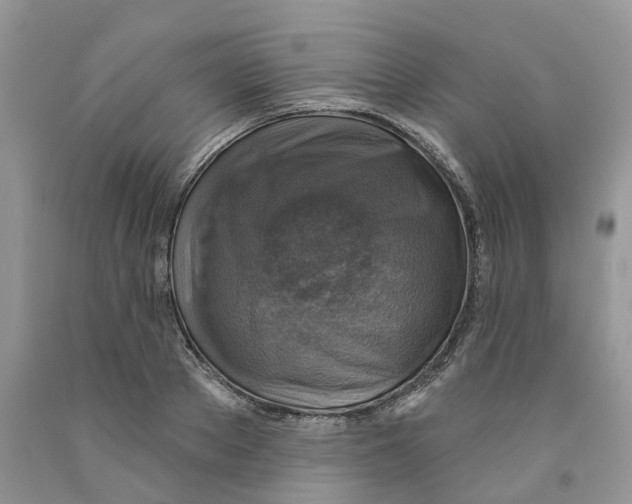 X0000091290889200709071030