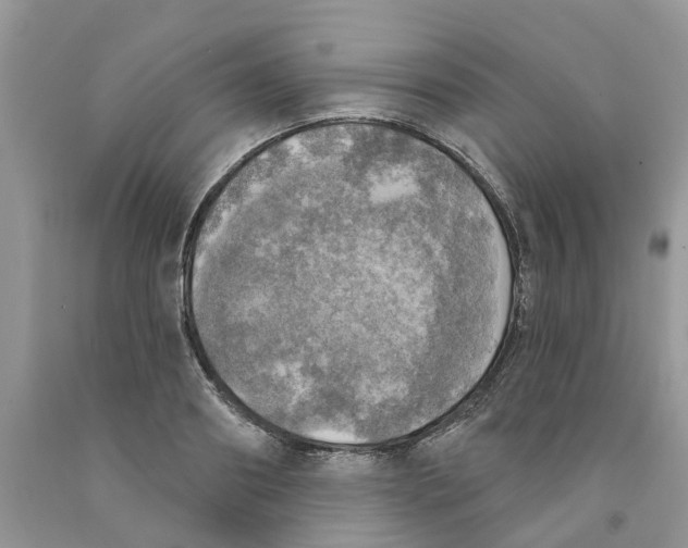 X0000091290890200709071030