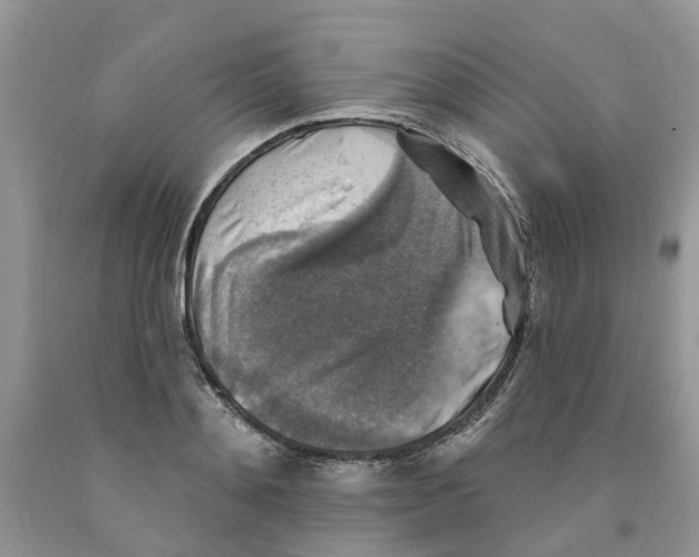 X0000091290892200709071030