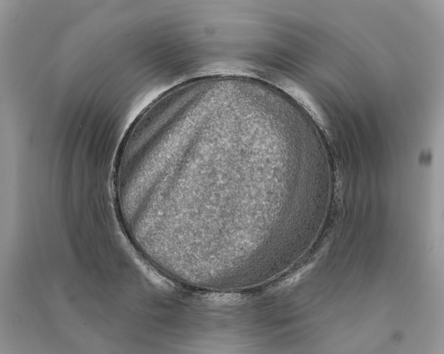 X0000091290893200709071030