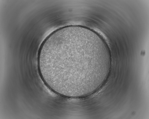 X0000091290894200709071030