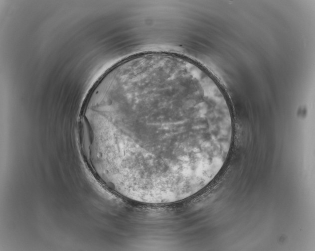 X0000091290895200709071030