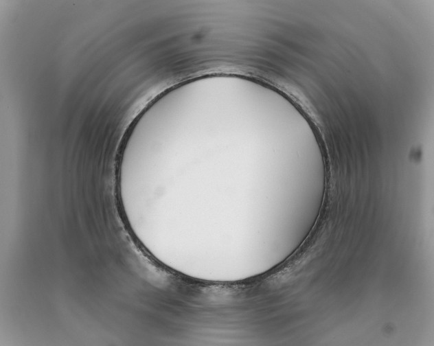 X0000091290898200709071030